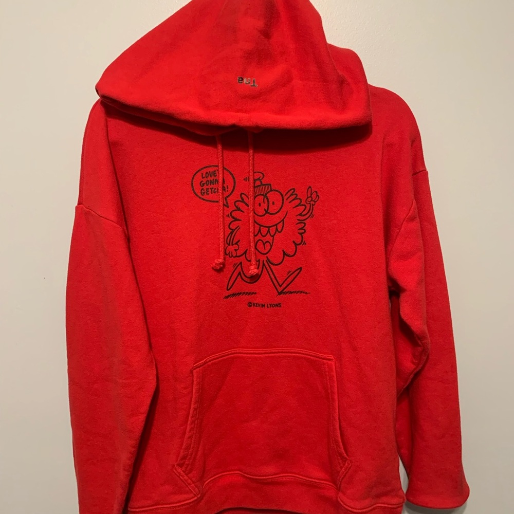 Aritzia hoodie